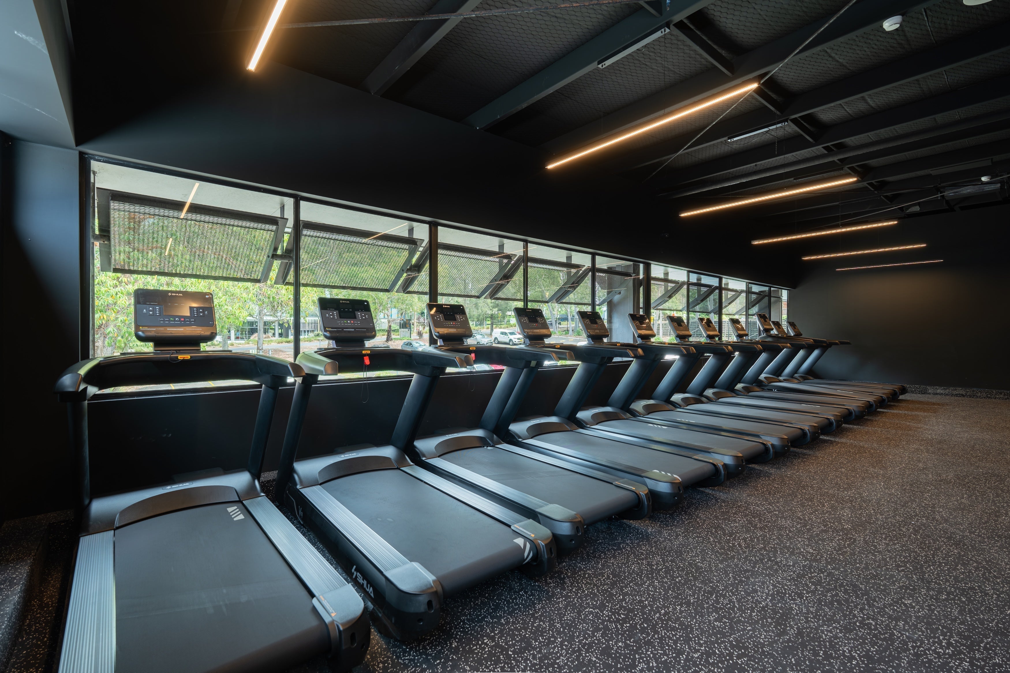 Choosing the Right Treadmill for Your Gym