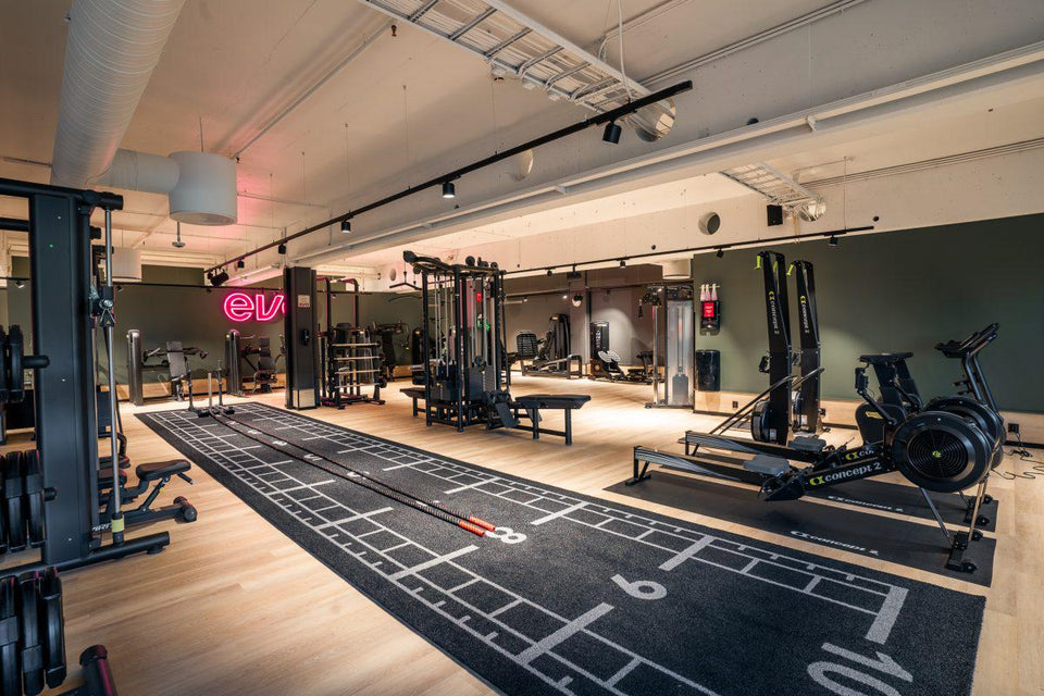 Pavigym