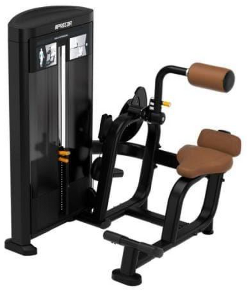 Precor Resolute Back Extension RSL 313