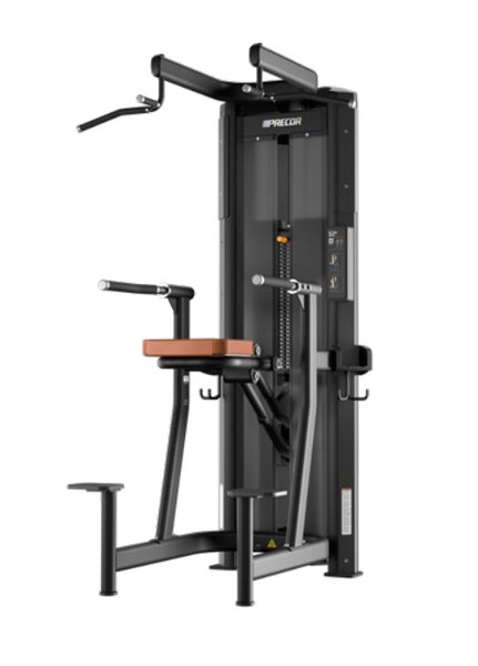 Precor Dip-Chin Assist