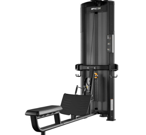 Precor Resolute Heavy Low Row RMS 302