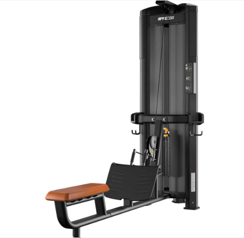 Precor Resolute Heavy Low Row RMS 302