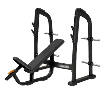 Precor Discovery Olympic Incline Bench with Weight Storage DBR 410