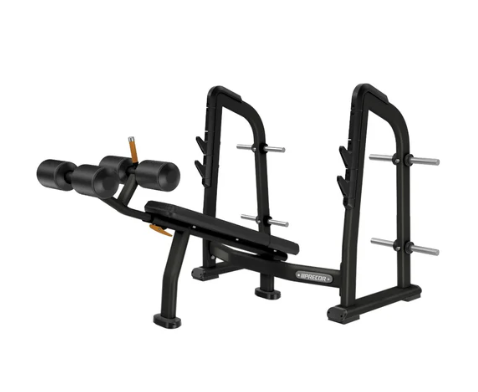 Precor Discovery Olympic Decline Bench with Weight Storage DBR 411