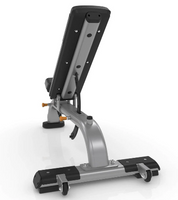 Precor Discovery Multi-Adjustable Bench DBR 119
