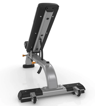 Precor Discovery Multi-Adjustable Bench DBR 119