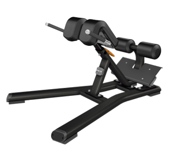 Precor Discovery Back Extension DBR 312