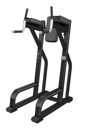 Precor Discovery Vertical Knee Up DBR 702