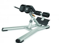 Precor Discovery Back Extension DBR 312