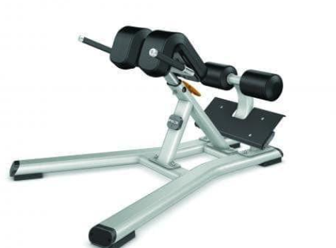 Precor Discovery Back Extension DBR 312
