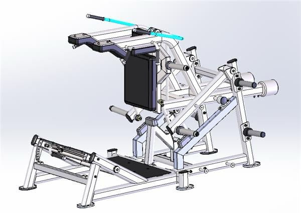 Nautilus Pendulum Squat 9NP-L11